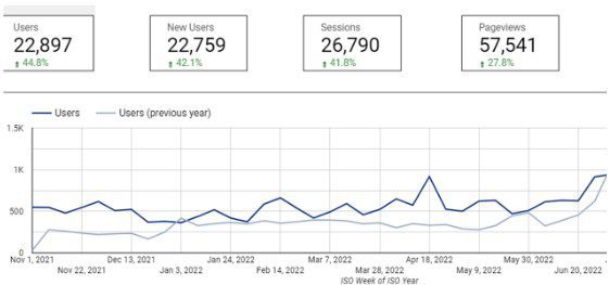 Website Visitors 